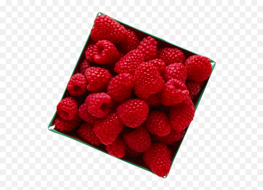 Raspberry - Seedless Fruit Png,Raspberries Png