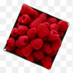 Raspberry - Seedless Fruit Png,Raspberries Png