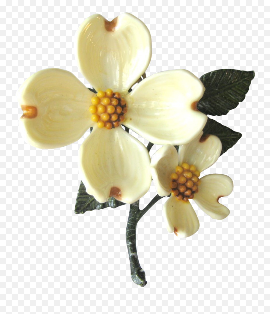 Transparent Glass Dogwood - Dogwood Flower Transparent Png,Dogwood Png