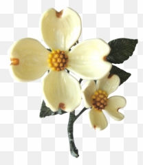Transparent Glass Dogwood - Dogwood Flower Transparent Png,Dogwood Png