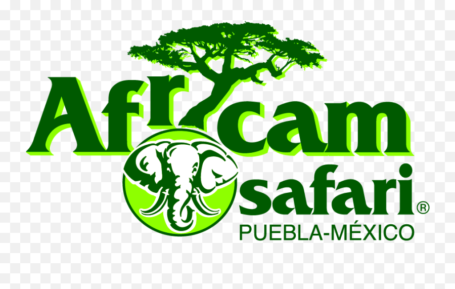 Africam Safari Logo - Png Africam Safari Logo,Safari Logo