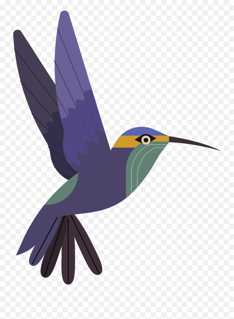 Free Png Hummingbird - Portable Network Graphics,Hummingbird Png