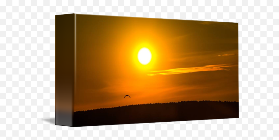 Sunset Flare By Colton Van Bastelaere - Horizon Png,Yellow Lens Flare Png