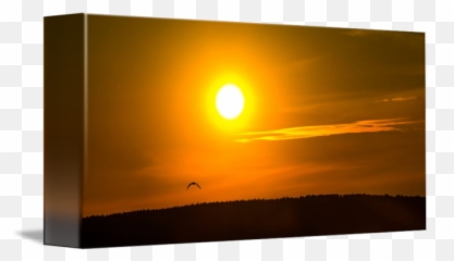 Sunset Flare By Colton Van Bastelaere - Horizon png