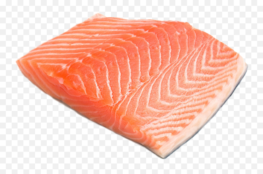 Download Salmon Meat Png - Fish Meat Png Image With No Salmon Fish Meat Png,Salmon Transparent