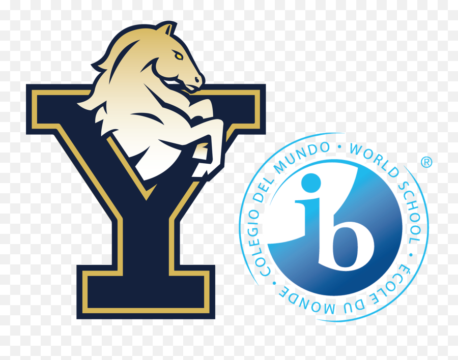 York International School Homepage - International Baccalaureate Png,Ib Logo Png