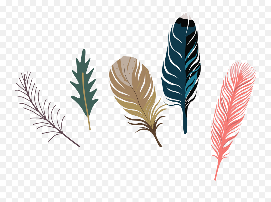 Cartoon Drawing Feather - Feathers Cartoon Png,Feather Drawing Png