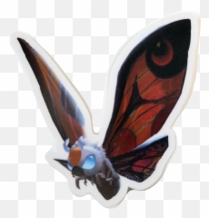 Grumpii Mothra - Milkweed Butterflies Png,Mothra Png