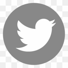 Www - Twitter Negro png