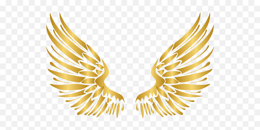 About Injury Angels - Injury Angels Work Injury And Png,Angel Wings Icon