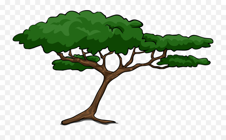 Jungle Trees Clipart - Acacia Tree Clipart Png,Jungle Tree Png