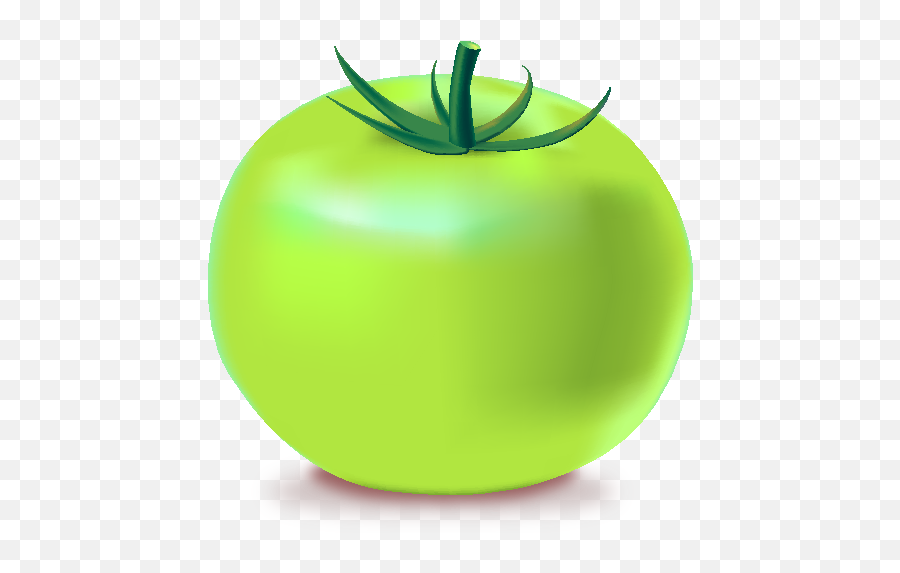 Download Green Tomatoes Clipart - Green Tomato Icon Png Png Fried Green Tomatoes Clip Art,Tomato Clipart Png