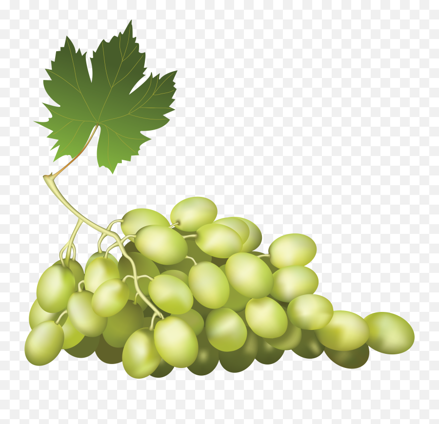 Grape Png Image Free Picture Download - Basket Of Fruits Vector,Grapes Png