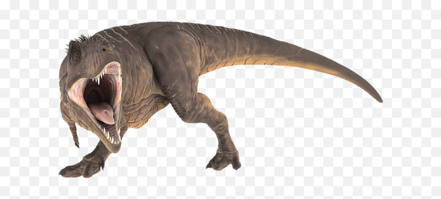 Tyrannosaurus Rex Dinosaur Images - Free T Rex Png,Tyrannosaurus Rex Png