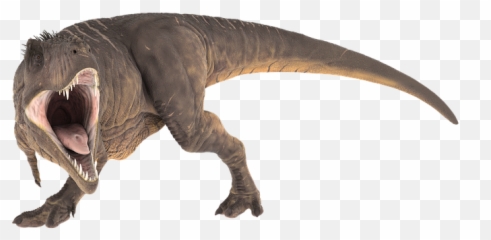 Tyrannosaurus Rex Dinosaur Images - Free png