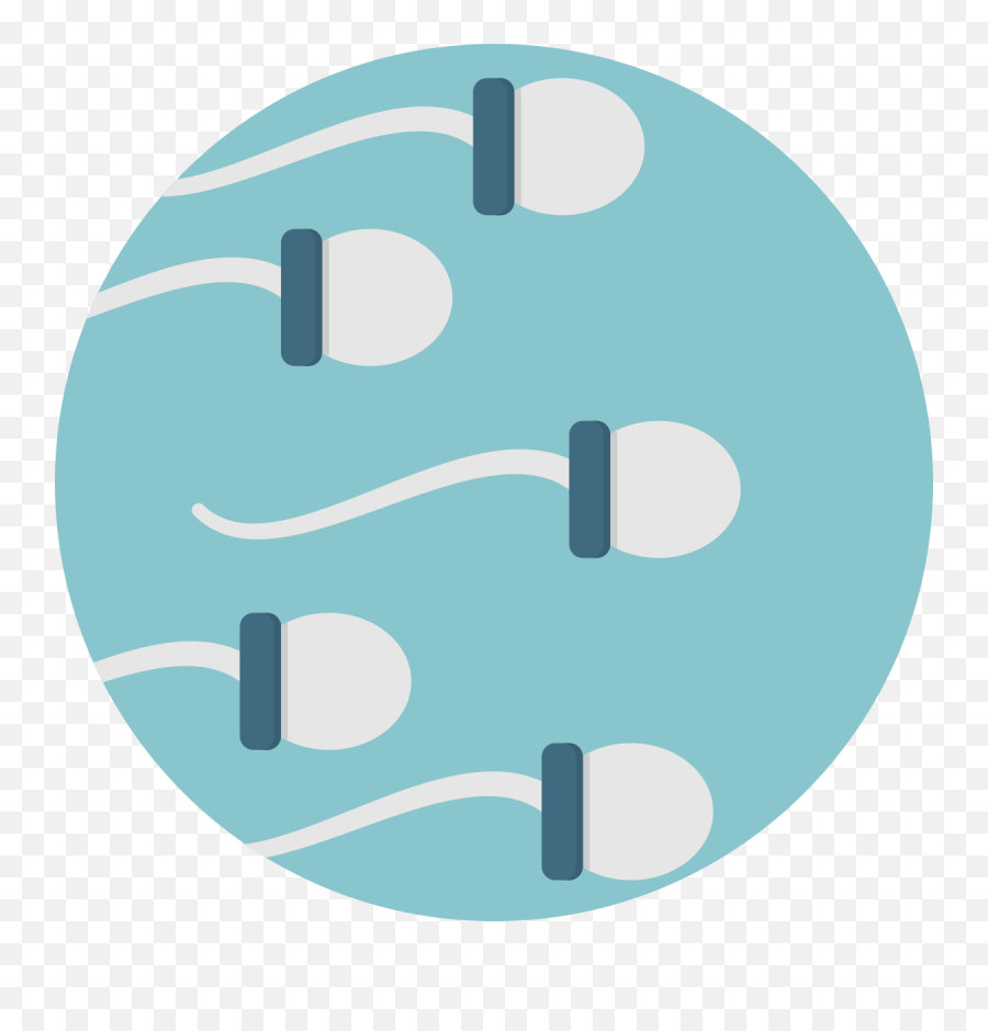 Creative - Sperm Icon Png,Sperm Png