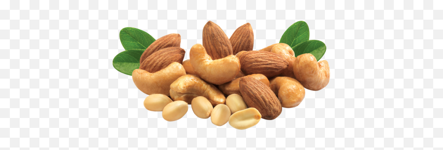 Mixed Nuts Png 1 Image - Nut Png,Nuts Png