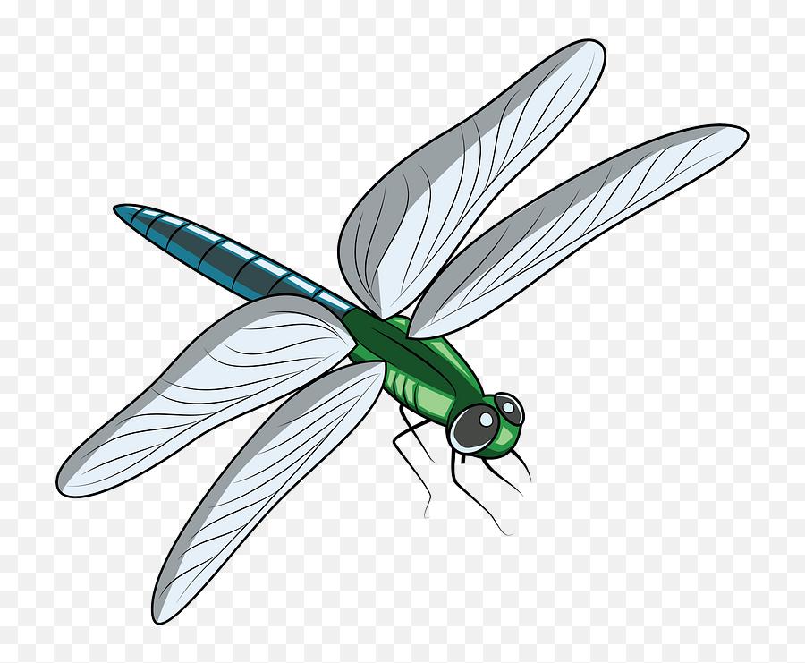 Dragonfly Clipart Free Download Transparent Png Creazilla - Clipart Image Of Dragonfly,Dragon Fly Png