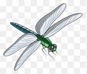 Dragonfly Clipart Free Download Transparent Png Creazilla - Clipart Image Of Dragonfly,Dragon Fly Png