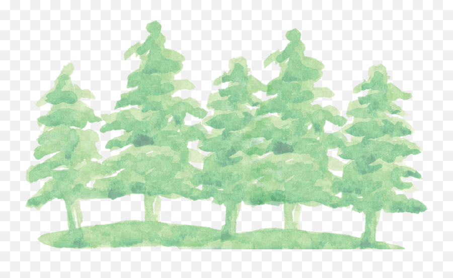 Download Watercolor Pine Tree Png - Watercolor Pine Green Png,Watercolor Tree Png