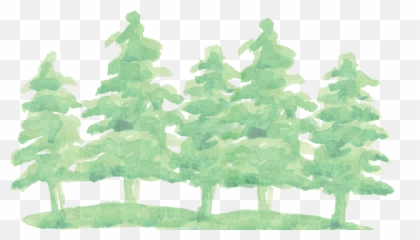 Download Watercolor Pine Tree Png - Green