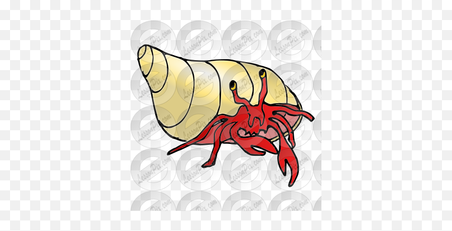 Hermit Crab Picture For Classroom Therapy Use - Great Fiddler Crab Png,Crab Clipart Png