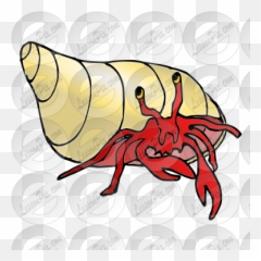 Hermit Crab Picture For Classroom Therapy Use - Great Fiddler Crab Png,Crab Clipart Png