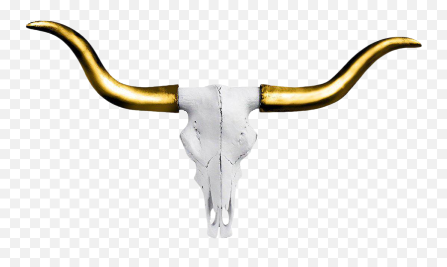 Mini Faux Texas Longhorn Cow Skull Wall Hanging Sculpture - Longhorn Head Png,Cow Skull Png