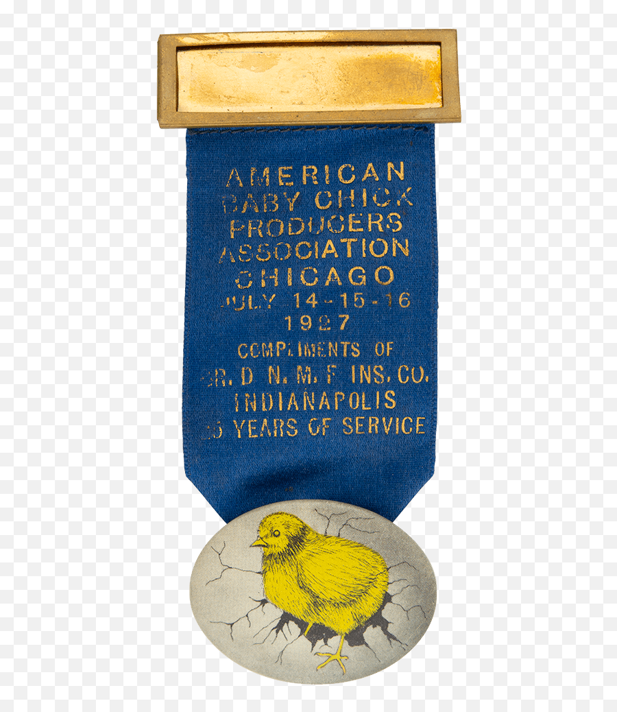 American Baby Chick Producers Association Busy Beaver - Vertical Png,Baby Chick Png