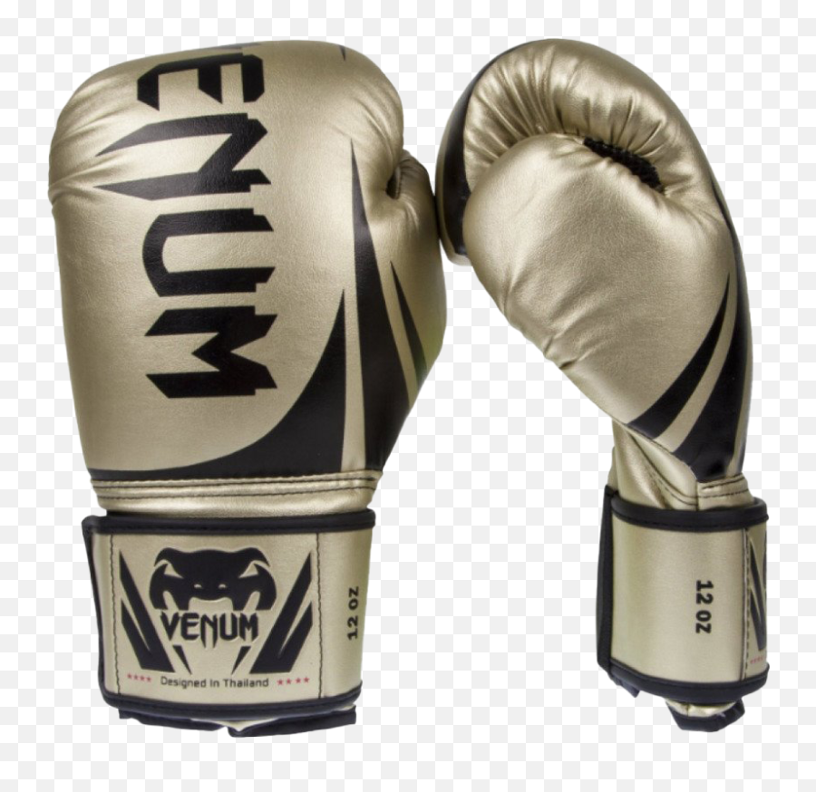 Venum Boxing Gloves Png Pic - Gold Venum Boxing Gloves,Boxing Png
