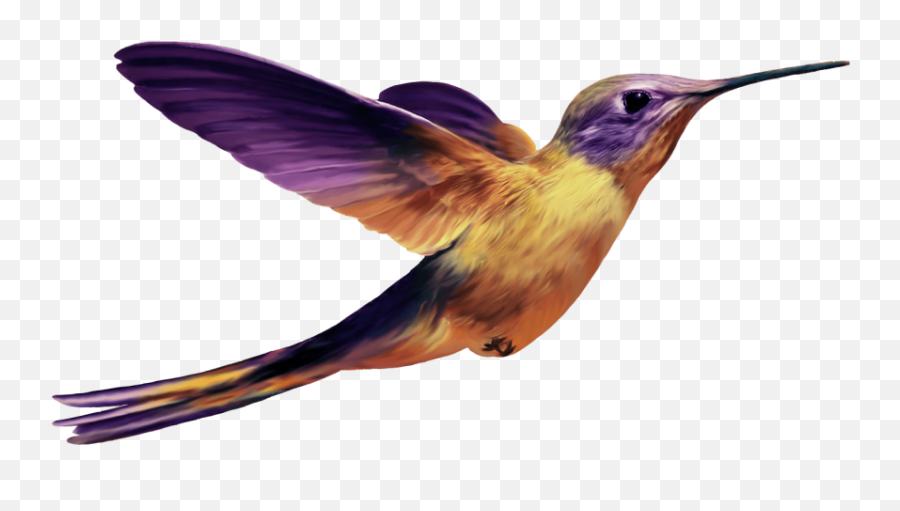 Hummingbird Png Images Backgrou - Purple Hummingbird Transparent,Hummingbird Png