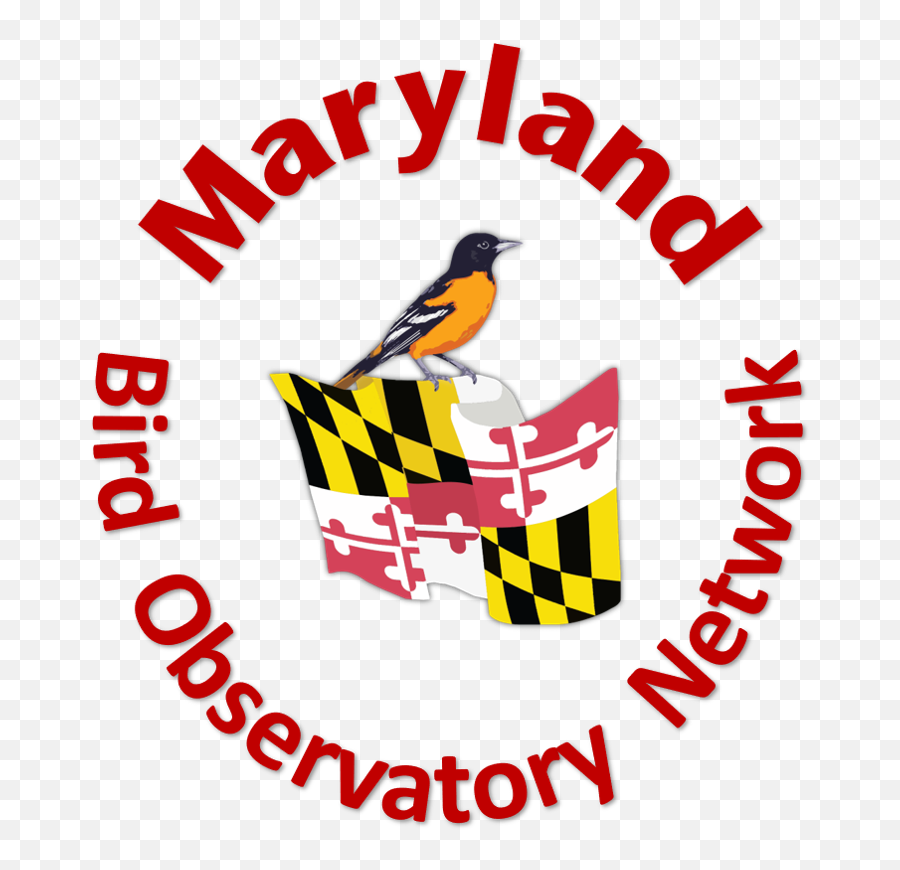 Download Mbon Logoa - Maryland State Flag Full Size Png Maryland State Flag,Maryland Flag Png