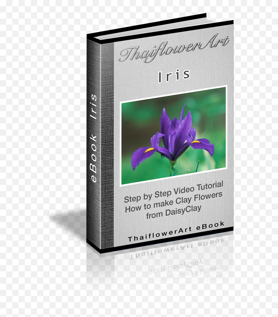 Ebook Iris - Iris Flowers Iris Flowers Transparent Iris Flowers Png,Iris Flower Png