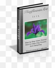 Ebook Iris - Flowers Transparent png