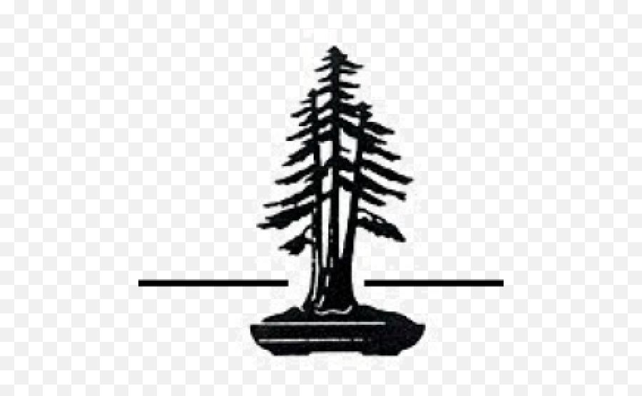 Redwood National And State Parks Coast - Vertical Png,Redwood Tree Png