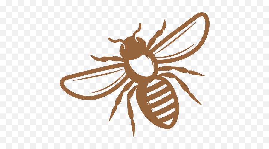 Bees Brilliance - Natural Skincare Made In New Zealand Parasitism Png,Natural Ingredients Icon