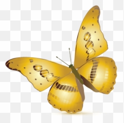 Simple Butterfly Logo Templates - Design Free png