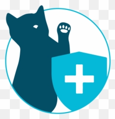 Lakewood Vets Prepare For Your Petu0027s Appointment - Cat png