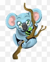 Png V17 Wallpapers 800x1070 Pix Koala
