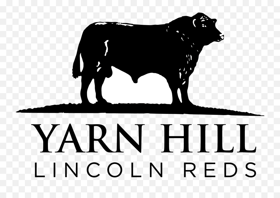 Home Yarn Hill Herd Of Pedigree Lincoln Red Cattle - Western Piedmont Community College Png,Cow Logo