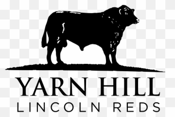 Home Yarn Hill Herd Of Pedigree Lincoln Red Cattle - Western Piedmont Community College Png,Cow Logo