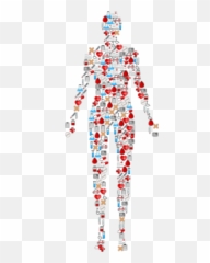 Human Body Png Clip Art Transparent Image - Image Icon