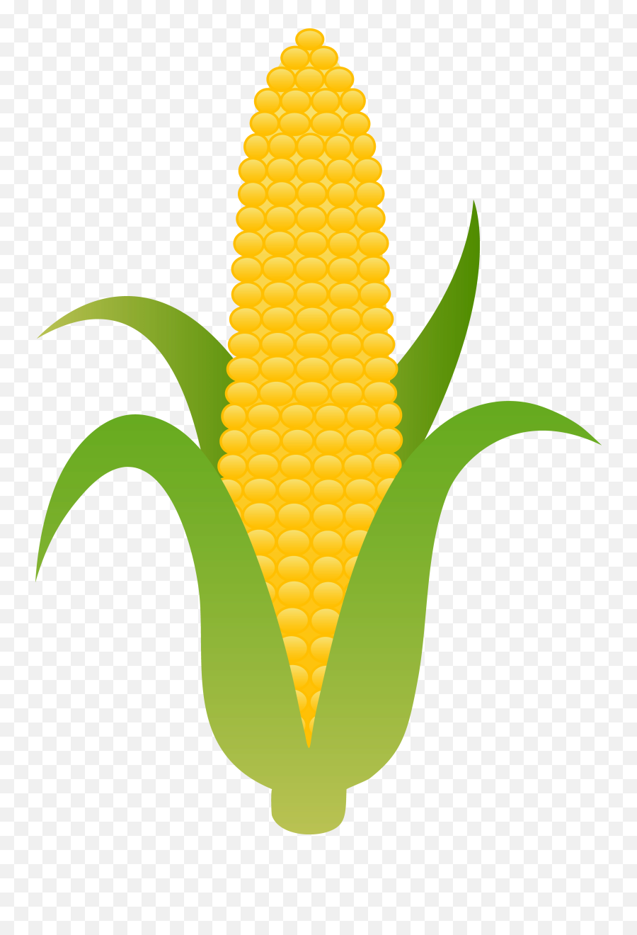 Simple Corn Clipart - Clip Art Corn Cob Png,Corn Clipart Png