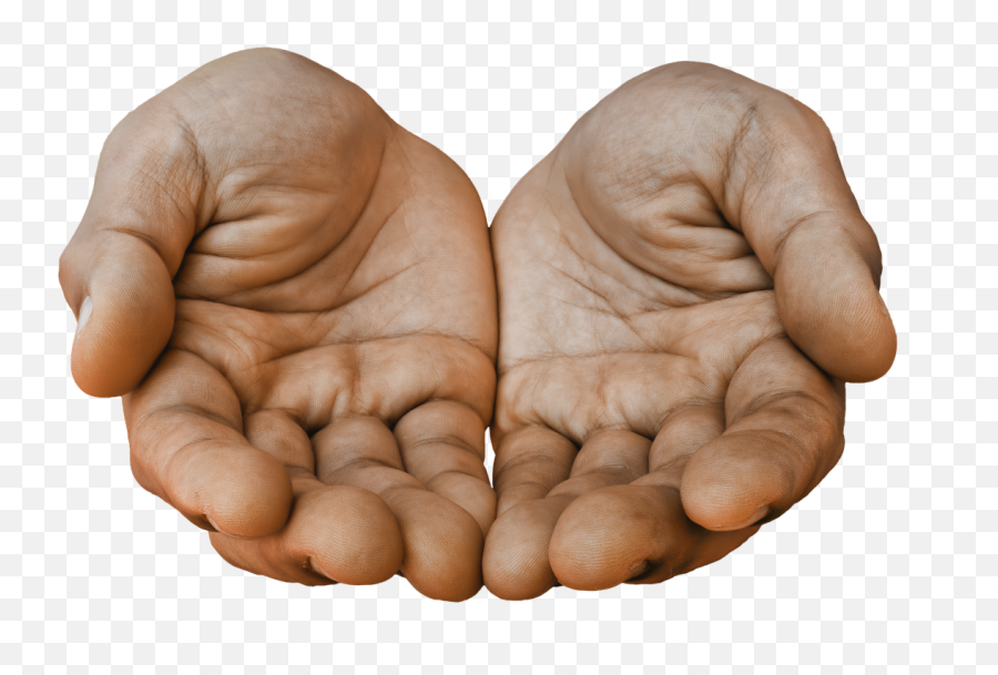 Hands Receiving Palm - Open Hands Png,Hand Palm Png