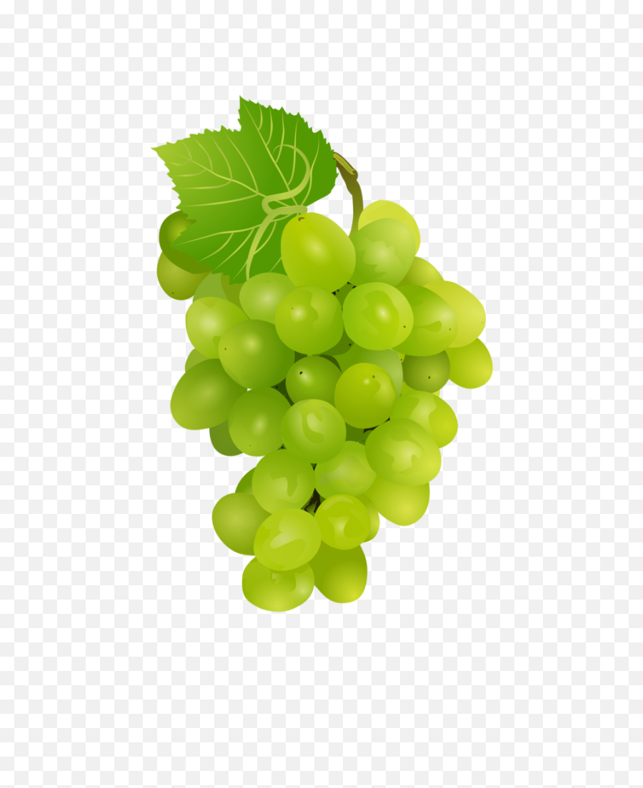 Hd Grapes - Grapes Image Download Png,Grapes Png