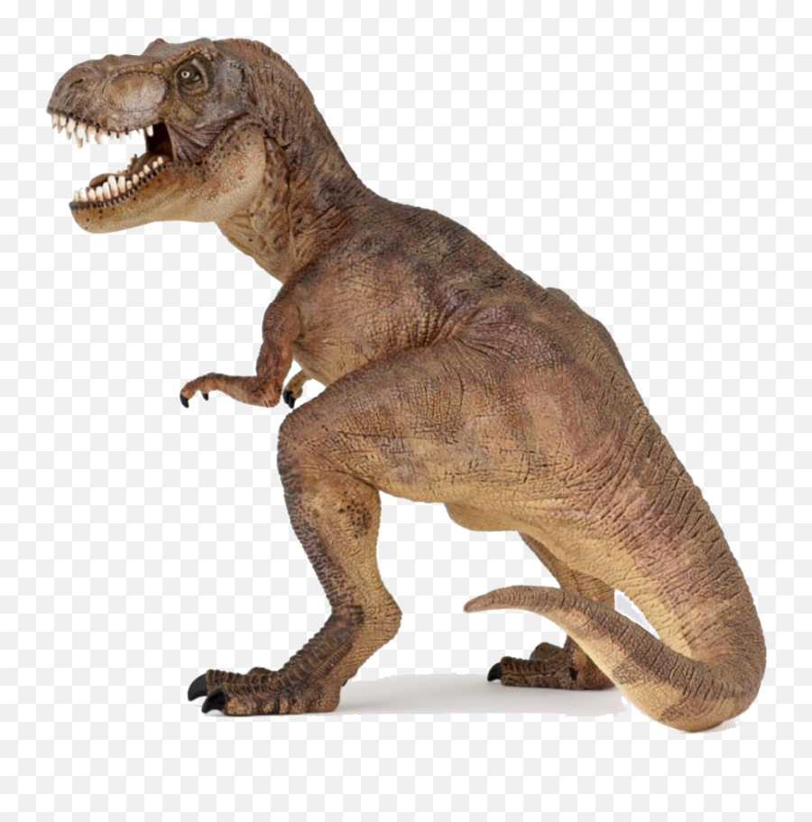 Dinosaur Png Transparent Images - Colour Of T Rex,Dinosaur Transparent Background