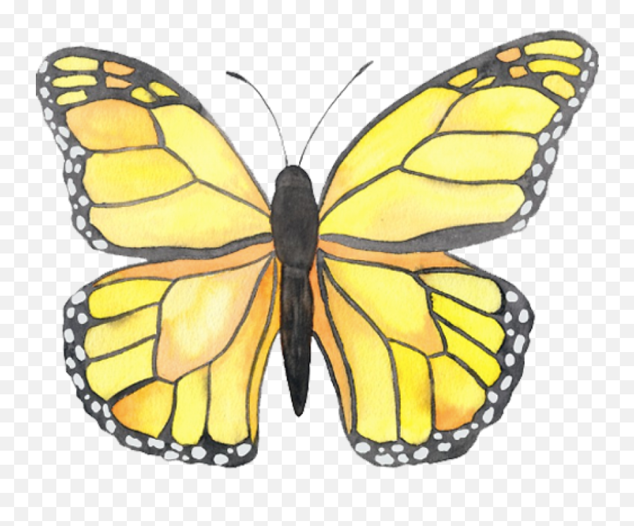 Butterfly Png - Yellow Butterfly Sticker,Monarch Butterfly Png
