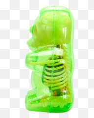 Clear Gummi Bear Funny Anatomy - Playset png