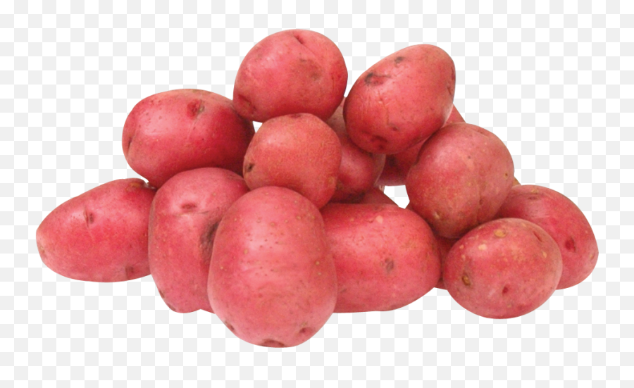 Red Potatoes Png Image - Red Potato Png,Potato Transparent