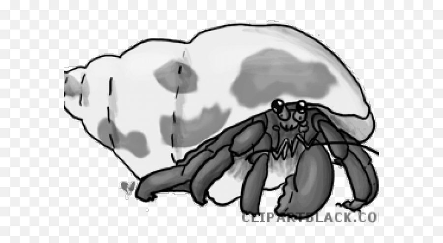 Hermit Crabs Png Gif - Portable Network Graphics,Crabs Png